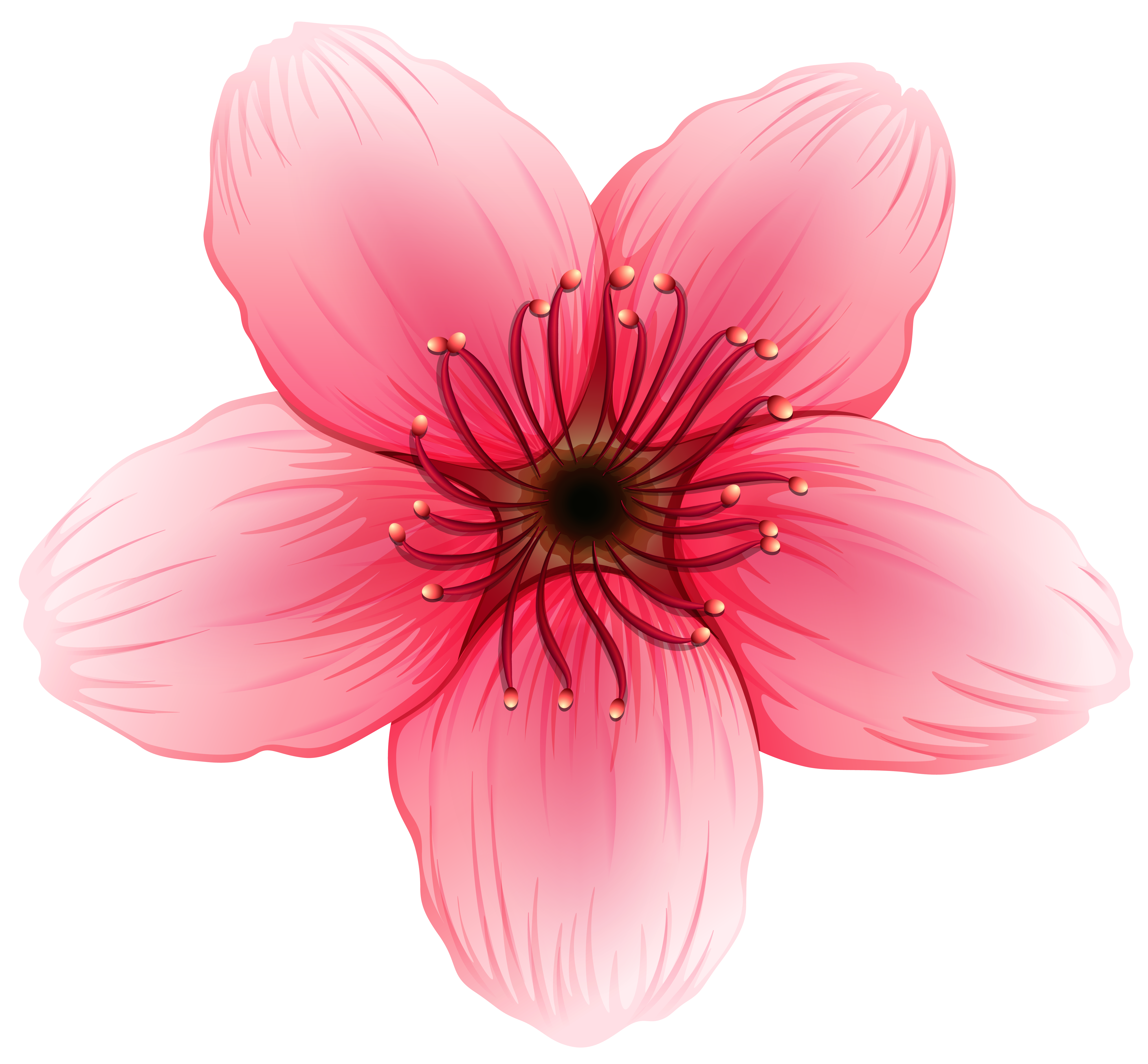 rose